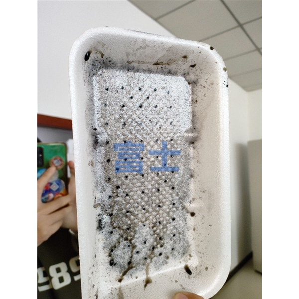 PS一次性吸水餐盒生产设备